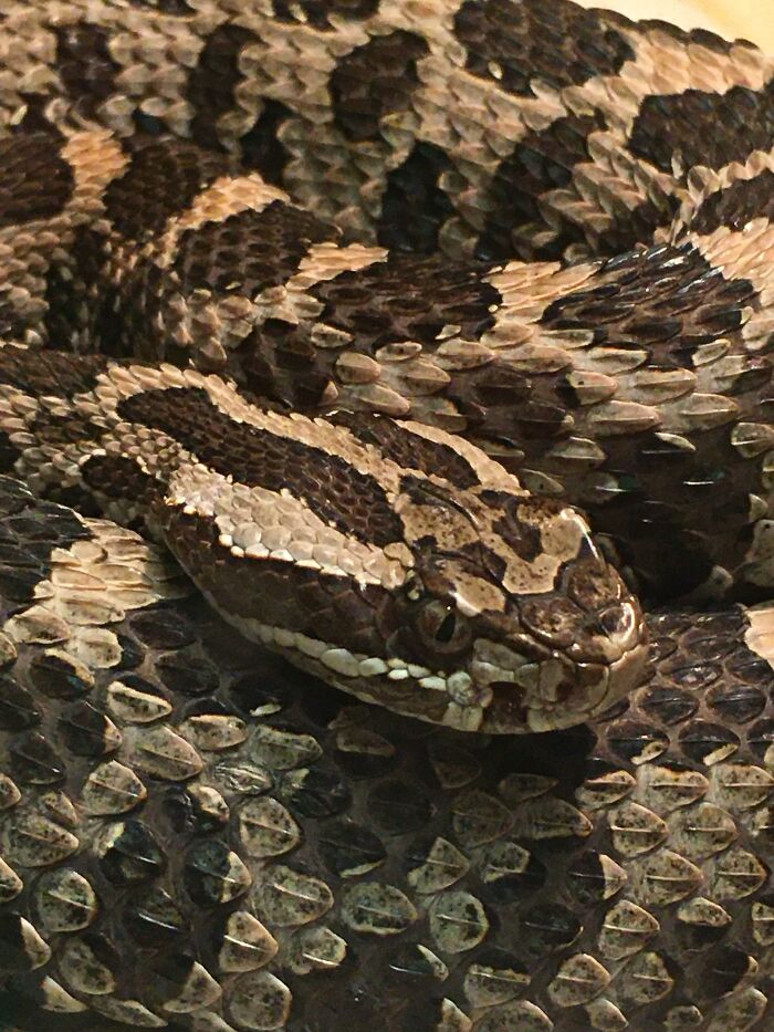 This Is Not The First Time I’ve Posted This.