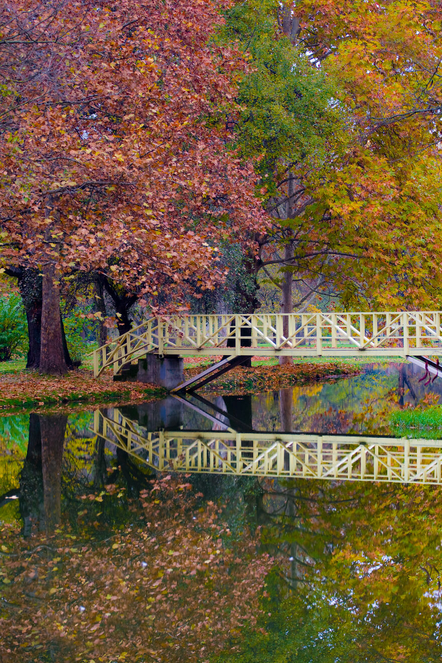 Autumn Begins Today, And Here Are My 12 Photos That Show What Autumn's Like In Macedonia