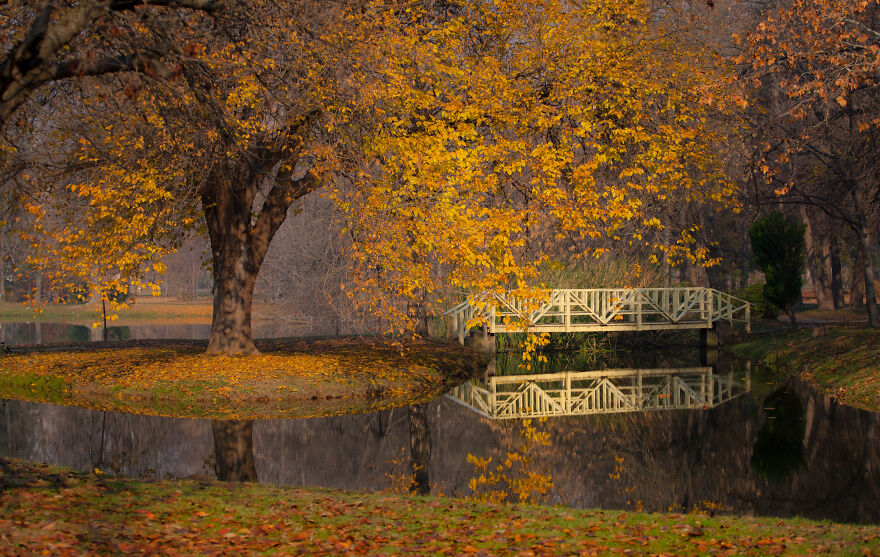Autumn Begins Today, And Here Are My 12 Photos That Show What Autumn's Like In Macedonia