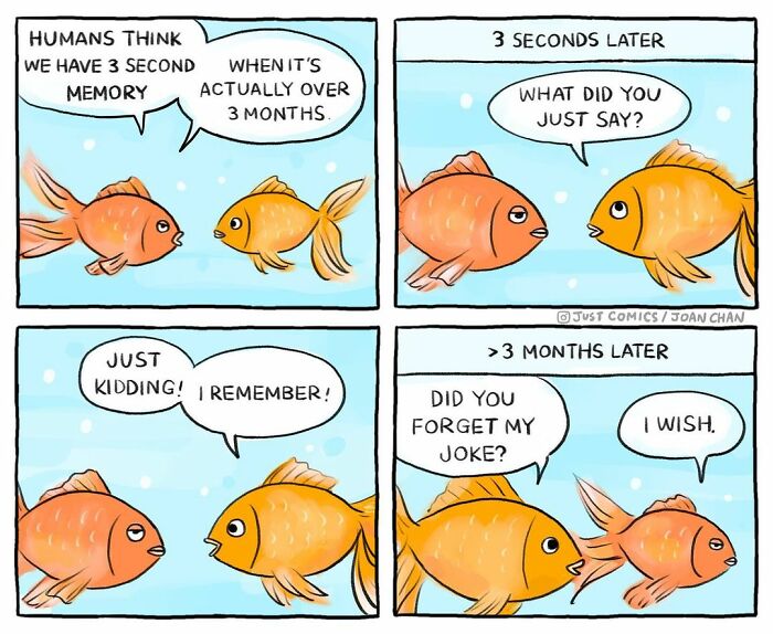 Comic strip showing two goldfish discussing memory, highlighting themes of animal a***e and factory farming in a poignant way.
