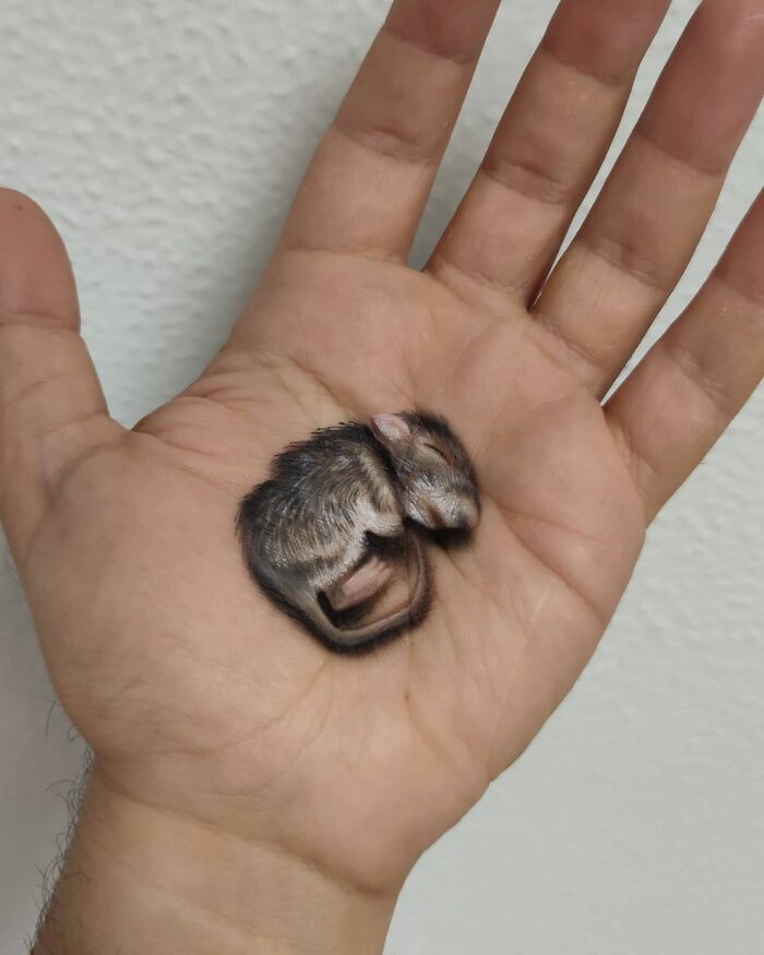 Hand with a realistic optical illusion painting of a sleeping mouse by an Italian artist using his body as canvas.