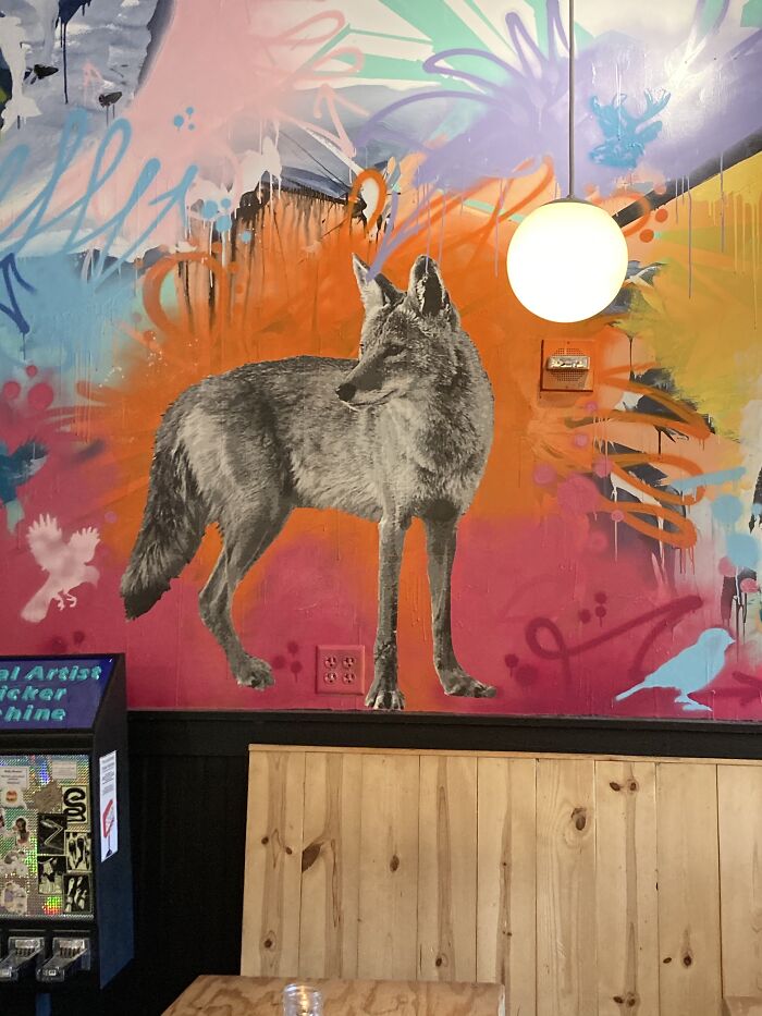 What Happened To His Other Leg?