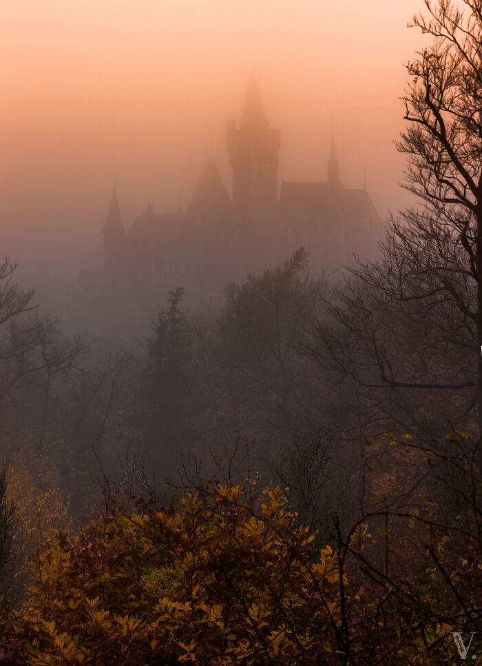 A beautiful castle emerging through dense morning fog surrounded by autumn trees in a serene natural landscape.
