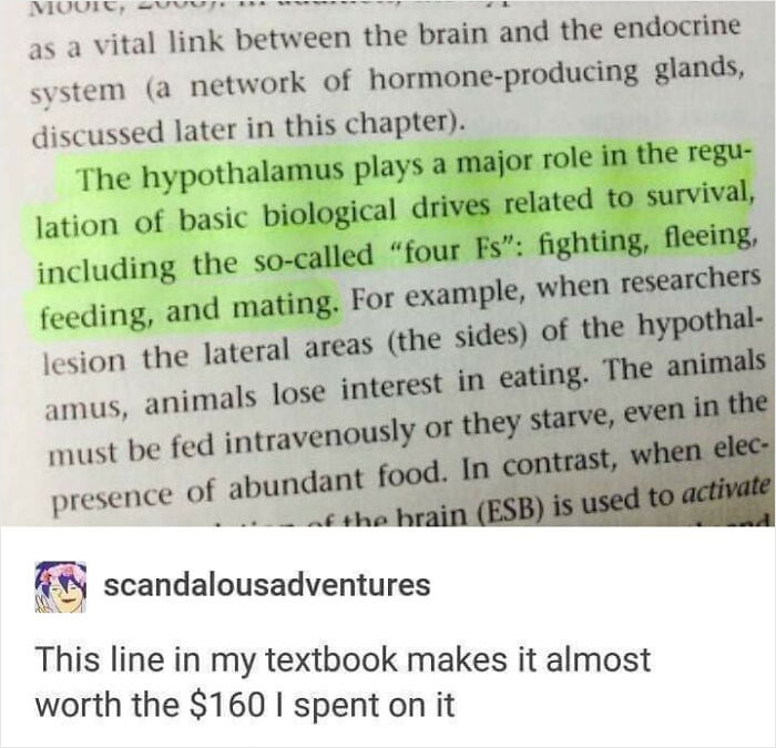 Funny-Posts-Student-Life