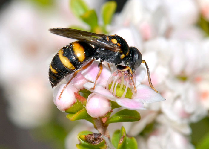 25 Hechos no tan divertidos que la gente de este grupo online no puede olvidar