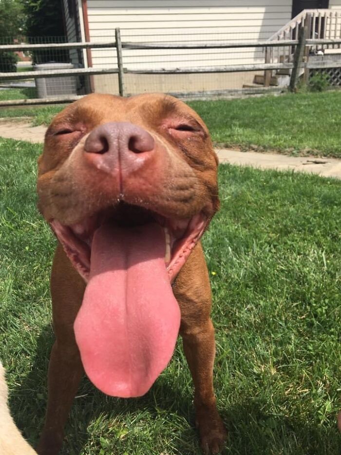 Day 1 In Her New Home (7/8/2017)