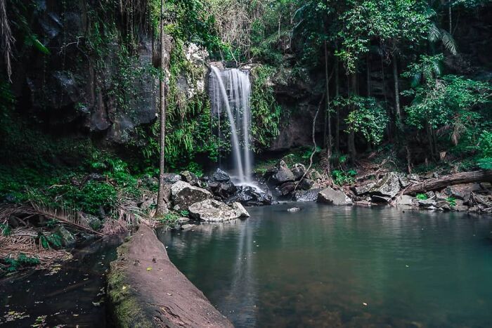 Mount Tambourine Mountain Forest The Water Fall There