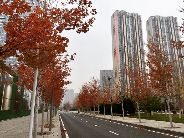 Autumn In Dalian, China.