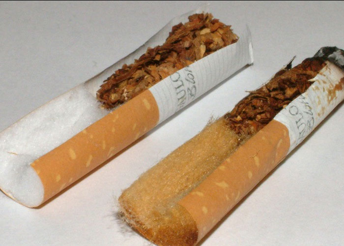 35 'Today I Learned' Facts That Show It's Never Too Late To Learn (New Pics)