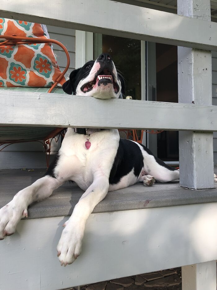 She Loves To Lay Like This!