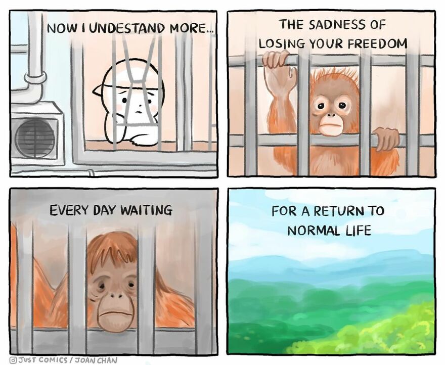 These Comics Showing The Suffering Of Animals Will Make You Think ( 77 Comics)