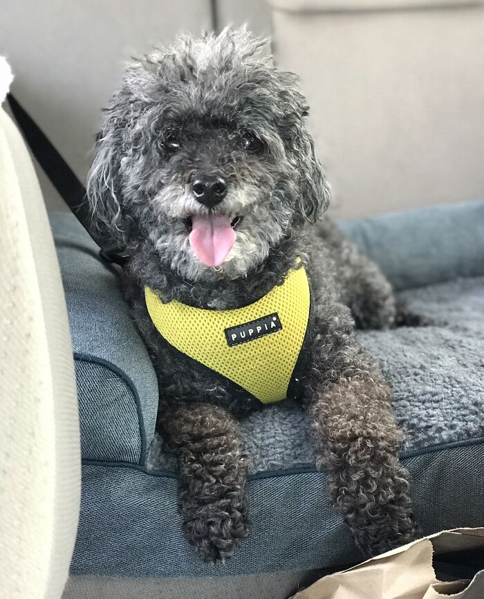 My Little Wendy Wendy