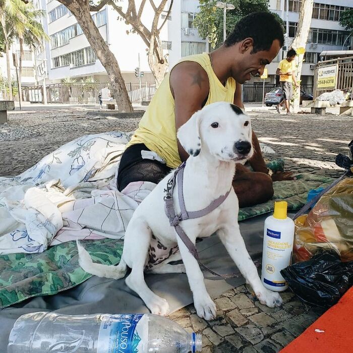 Account On Instagram Shows The Friendship Between Brazilian Homeless People And Their Dogs (183 Pics)