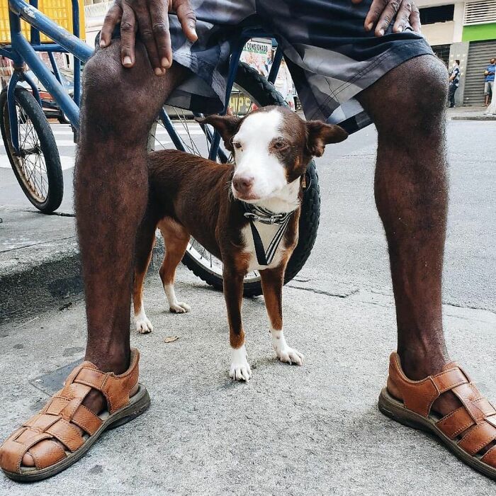 Account On Instagram Shows The Friendship Between Brazilian Homeless People And Their Dogs (183 Pics)