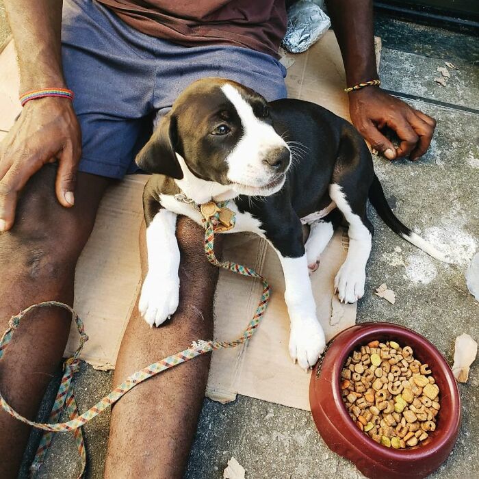 Account On Instagram Shows The Friendship Between Brazilian Homeless People And Their Dogs (183 Pics)