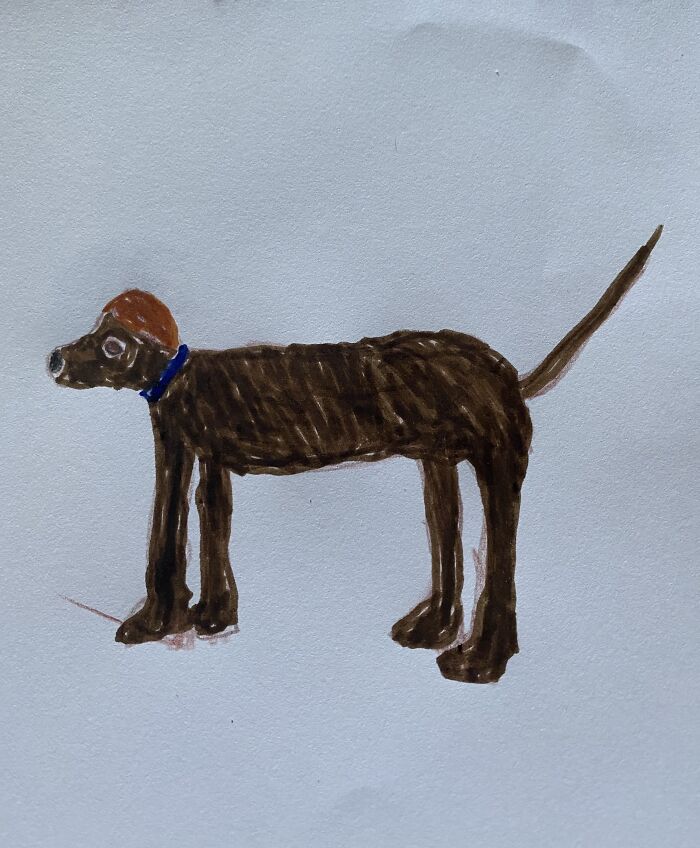 I’ve Never Been Good When It Comes To Drawing Dog 😅