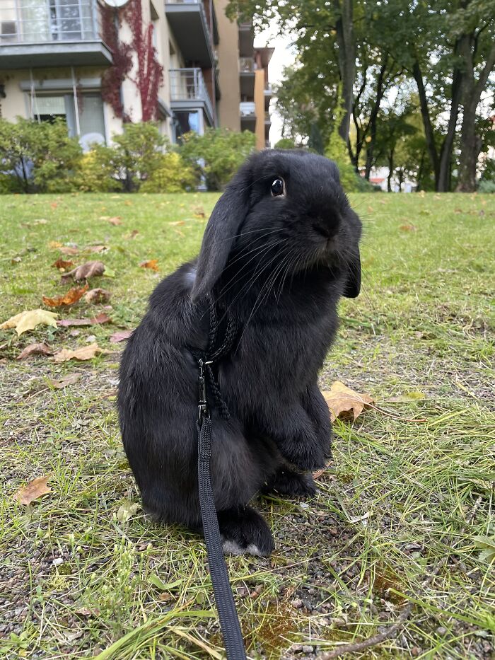 Enjoying Some Warm Autumn Weather