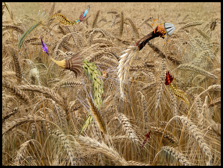 Intergalactic Gypsies