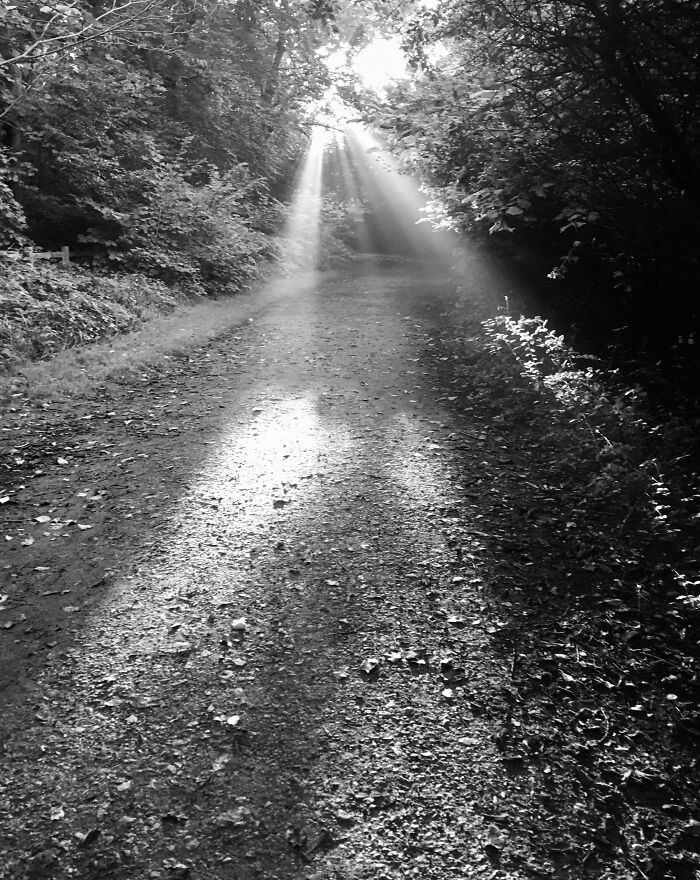 Early Morning Sun Rays