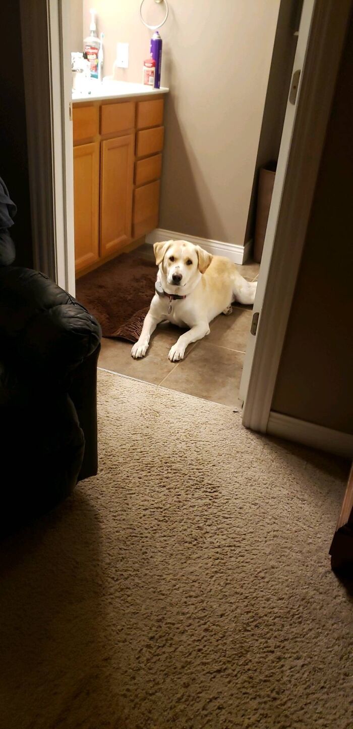 #i’m Watching You…