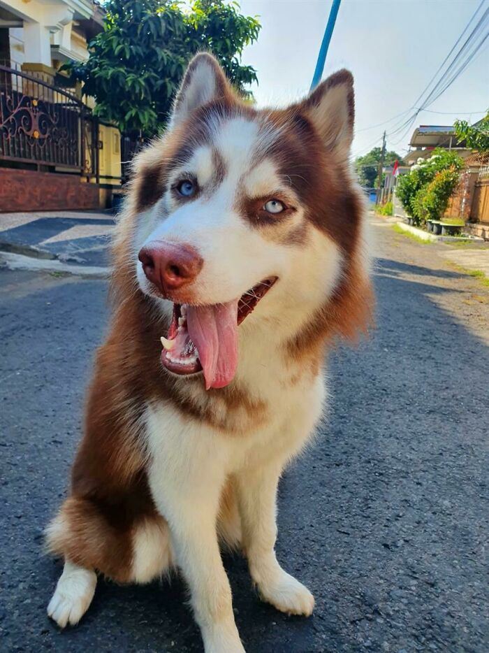 Alda
