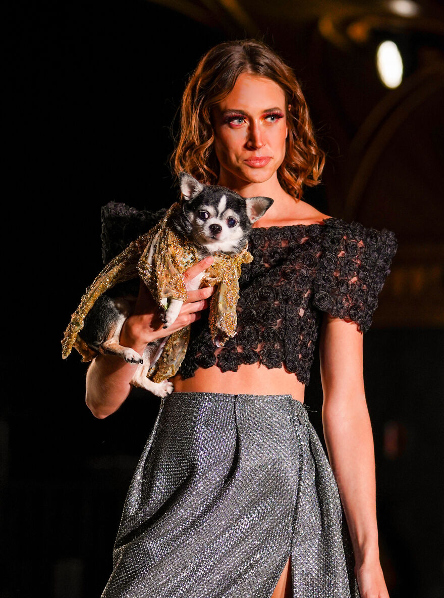 Canines In Haute Couture During New York Fashion Week