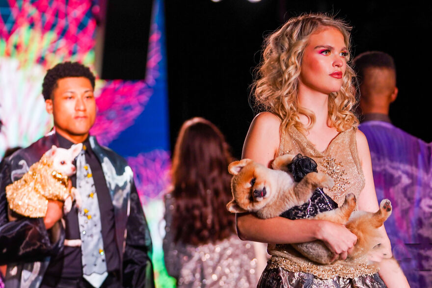 Canines In Haute Couture During New York Fashion Week