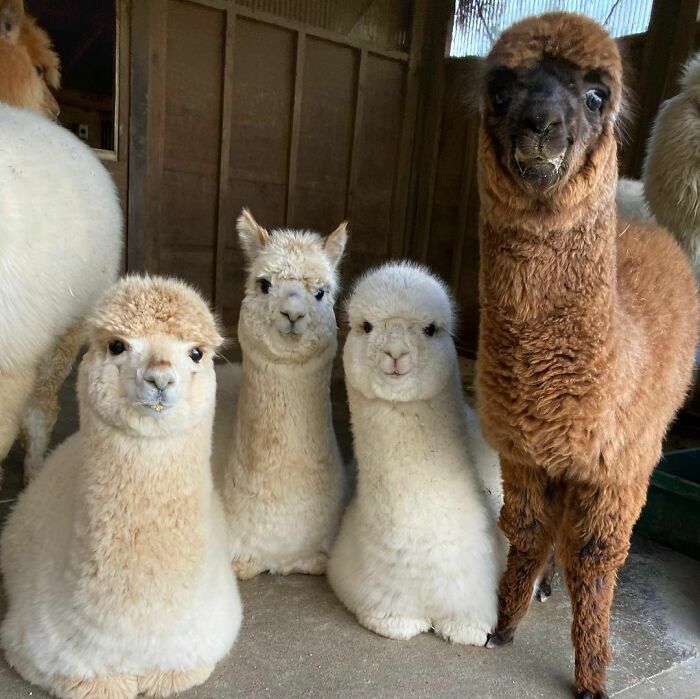 When You Don't Know Anyone At A Party