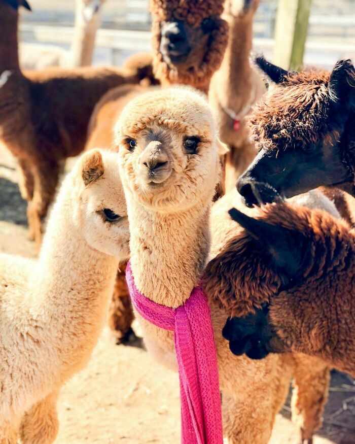 When Your Style On Fleek And Everyone Always Askin' Where You Shop