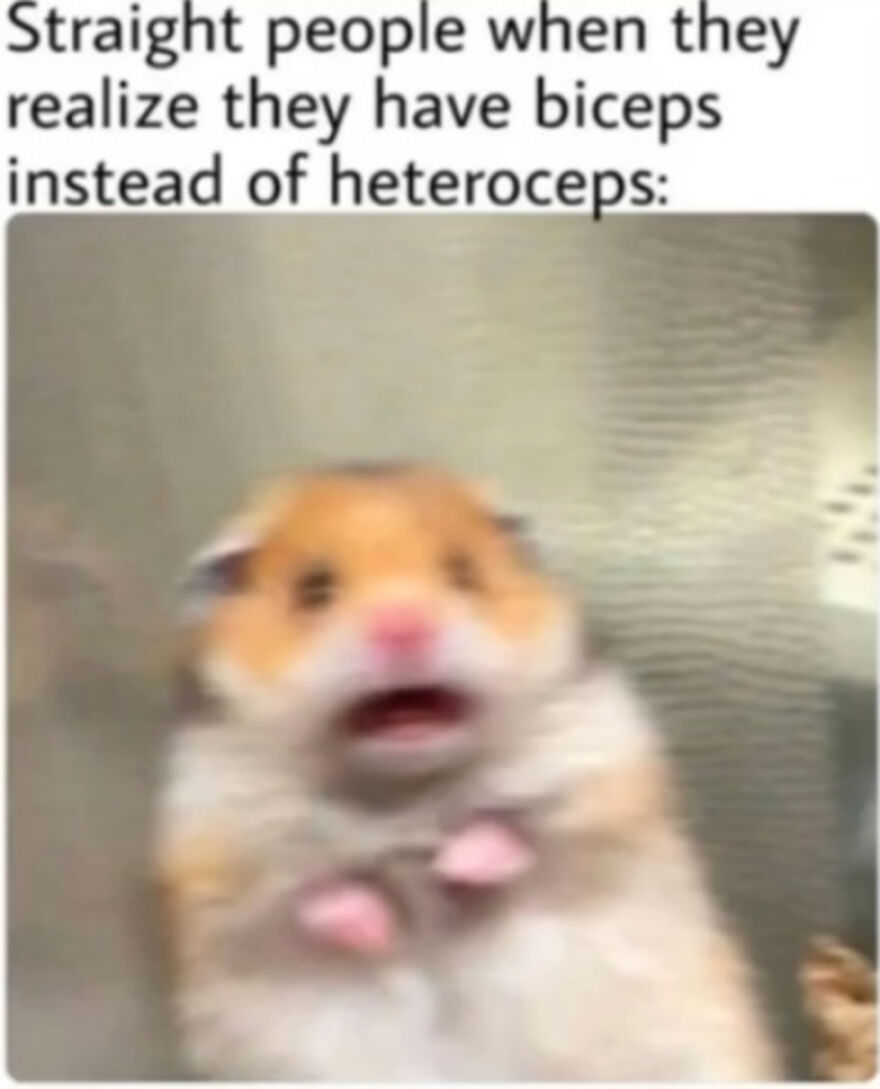 13 Lgbtq+ Memes To Restore Your Soul 13 Lgbtq+ Memes To Restore Your Soul