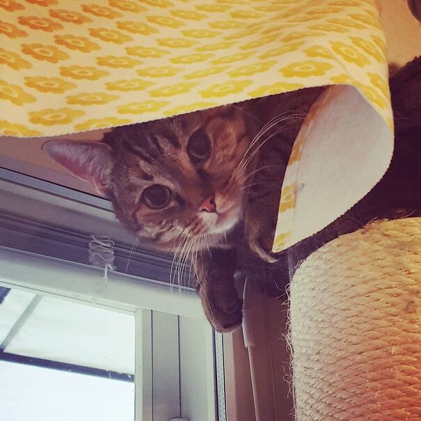 I'll Be Watching You