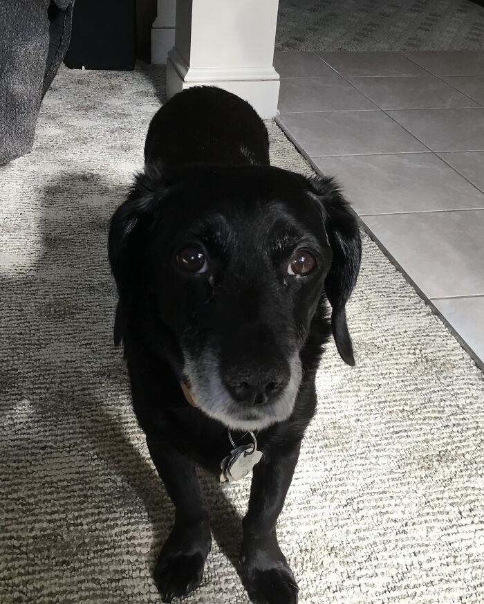 My 10 Or 11 Year Boy He’s Cranky 24/7