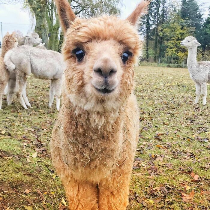 Please Be Happy, Promise Me