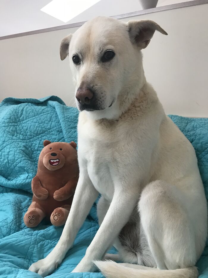 Banjo Just Had A Bath.