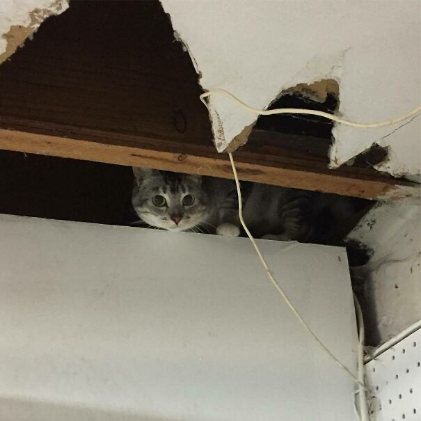 Big Adventures At My Mom And Dad's House