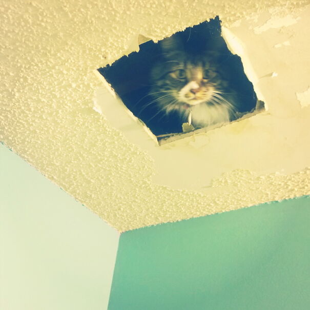 Hello. I Am Up, Are You?