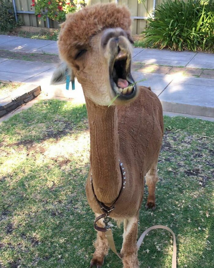 Mornings Got Me Like