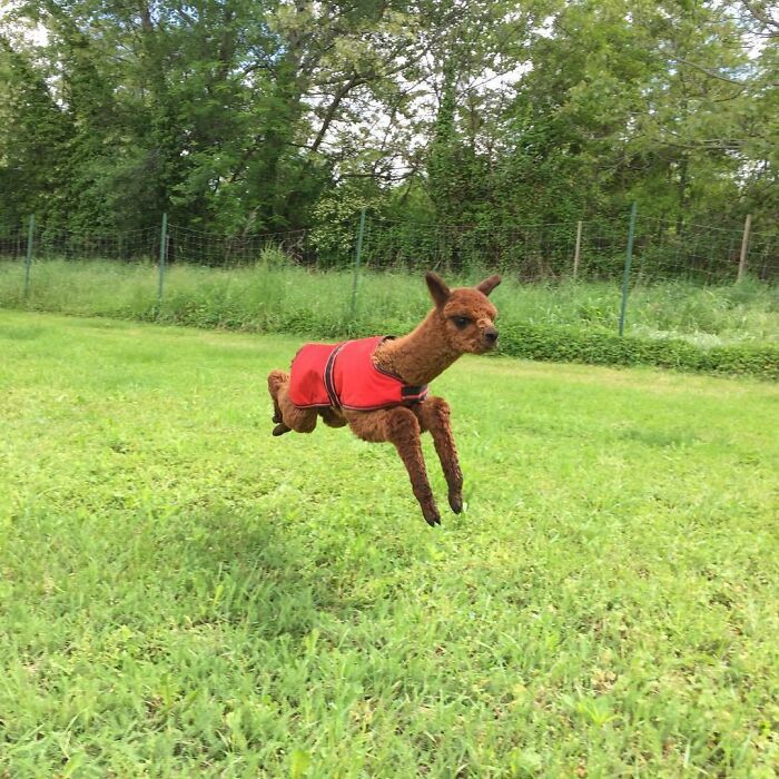 Running Away From My Responsibilities Like