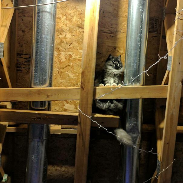 I Found My New Favorite Spot