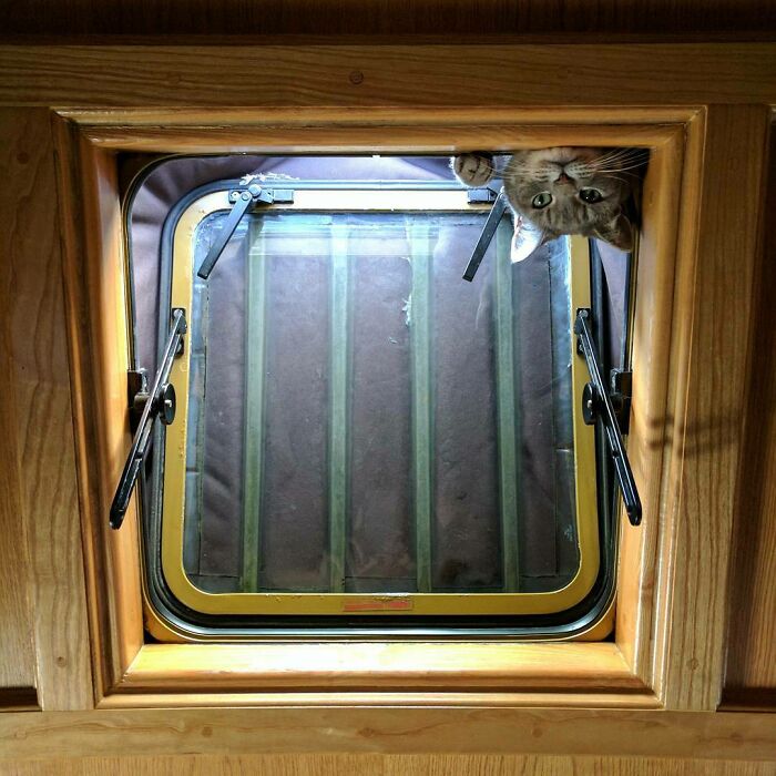 La vista desde mi cama