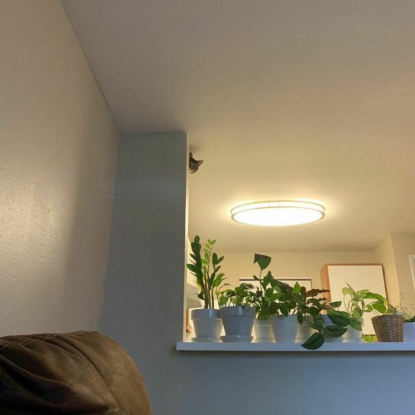 I Spy With My Little Eye