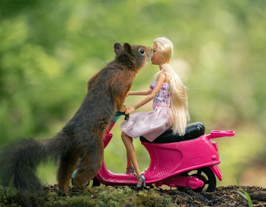 Belgian Photographer Captures 40 Perfectly Timed Animal Photos