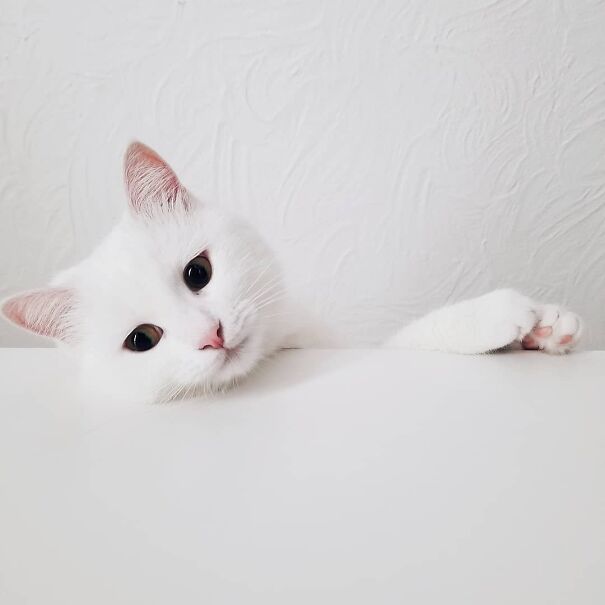 Ooh What's That Over There?