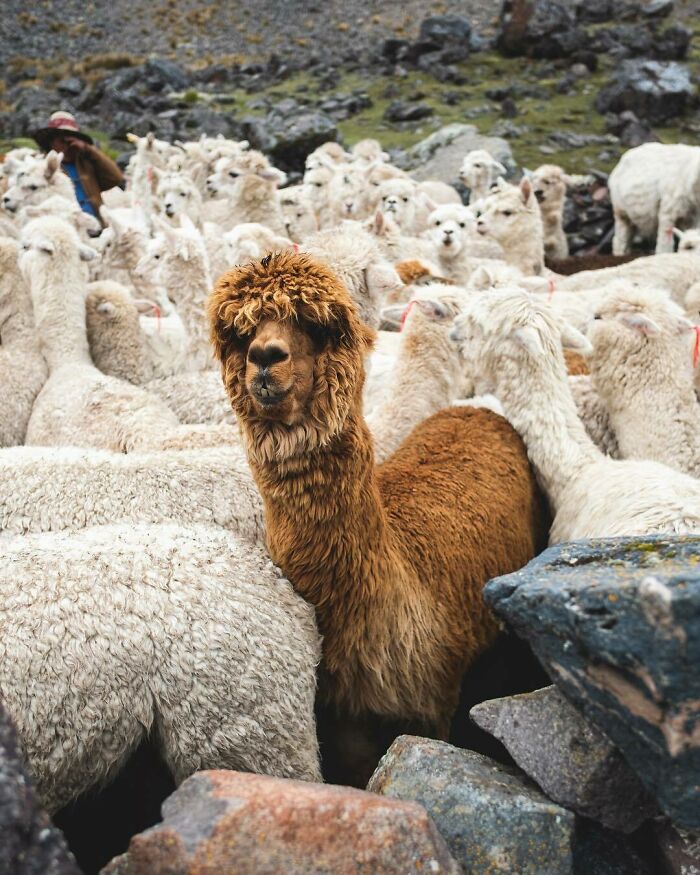 One Of These Is Not Like The Other