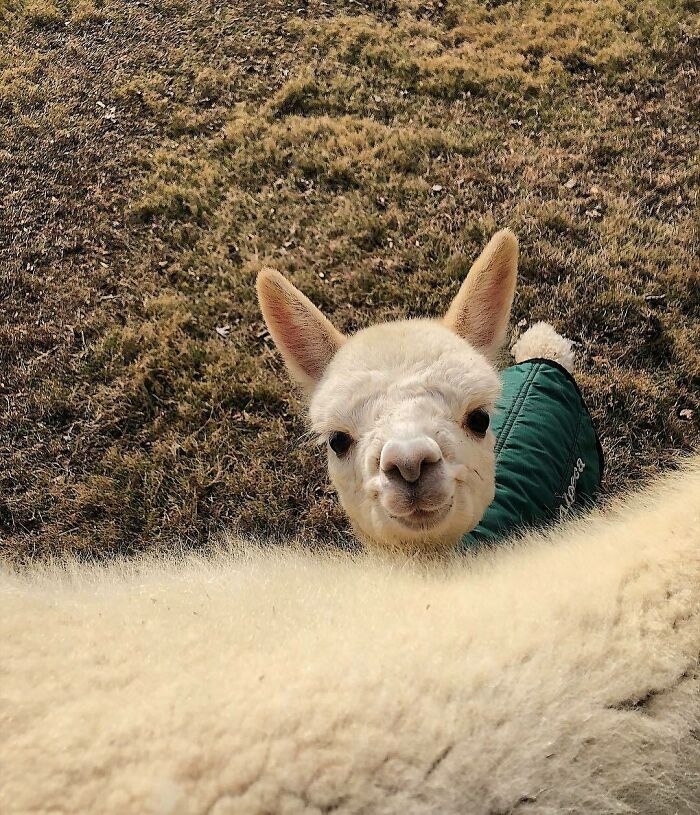 Look At This Little Cutiepie