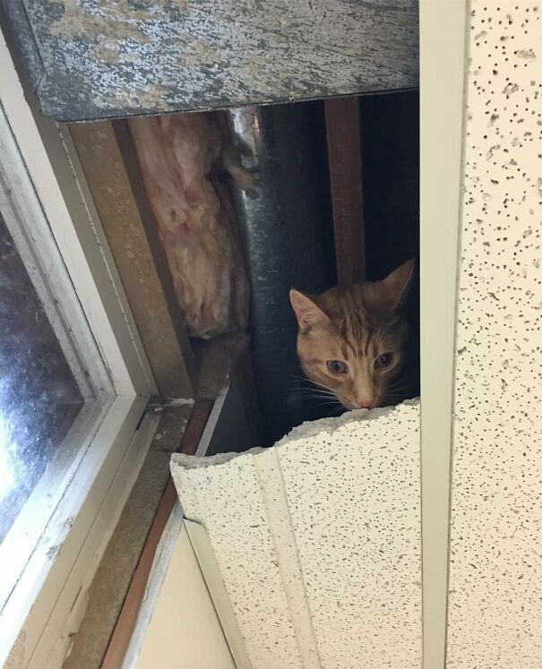 Well, That’s Going To Be A Problem