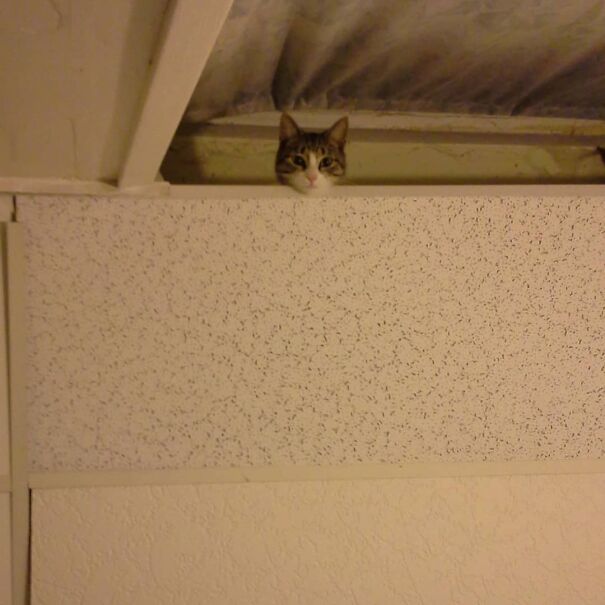 View From Bed Looking Up At The Ceiling In Old Apartment