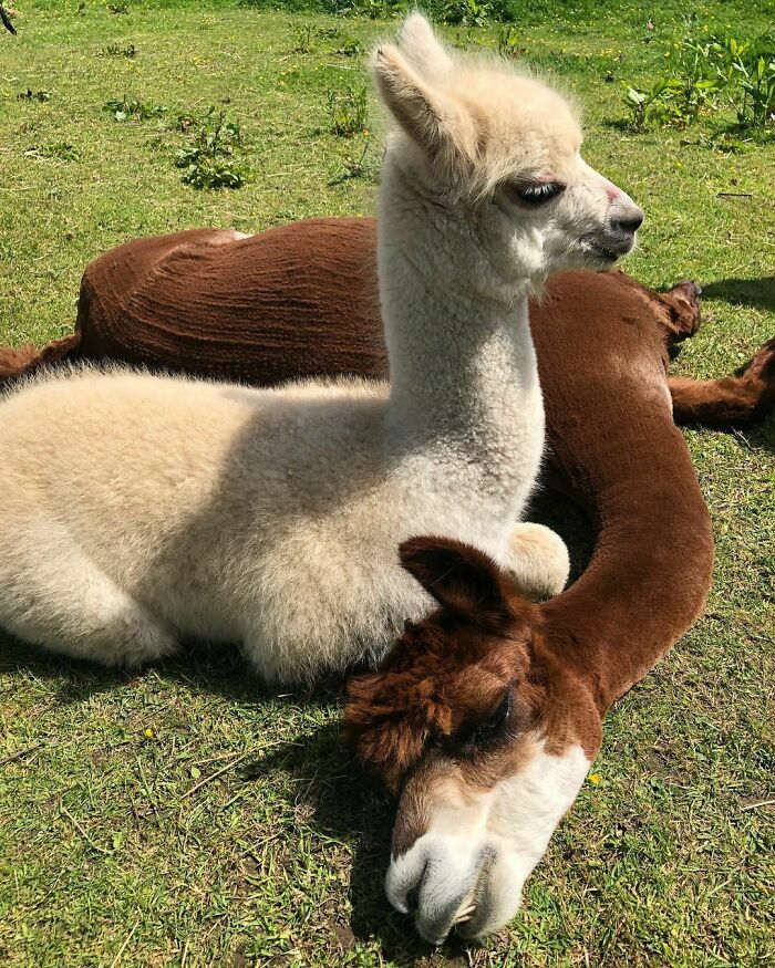 When You Know Bae Is Doing Something But You Want Attention Anyways