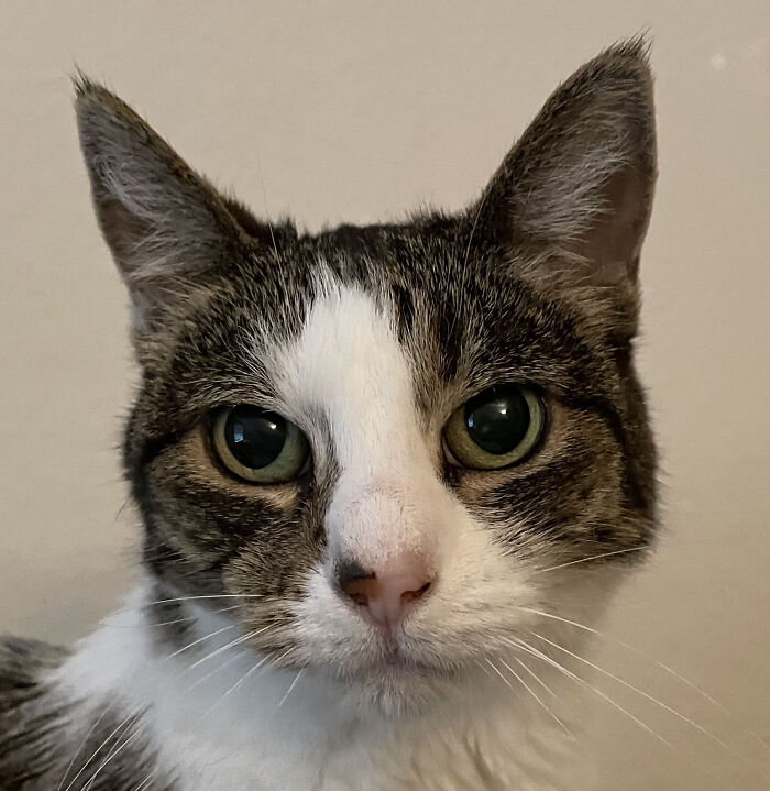 The Bad Little 16 Year Old