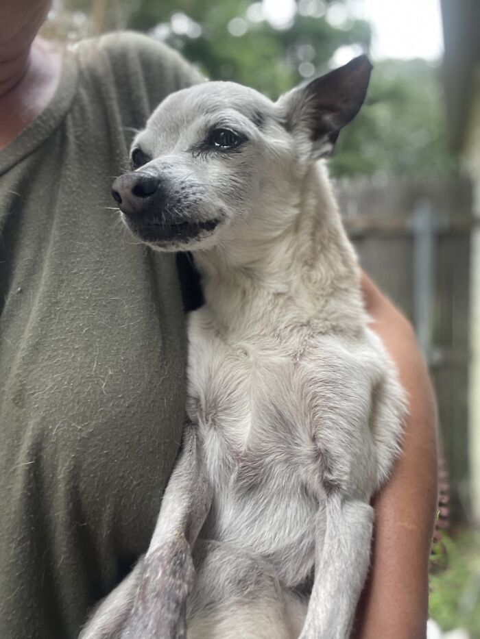 My Last Photos Of My 18 Year Old, Toby William ❤️